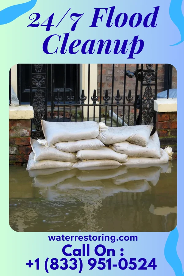24/7 Flood Cleanup in Caledonia, MS