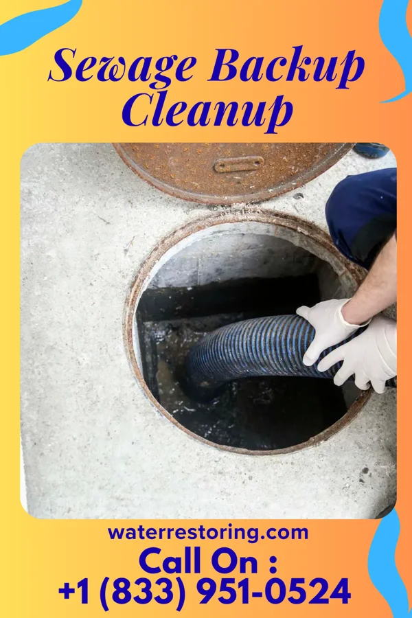 Sewage Backup Cleanup in Caledonia, MS